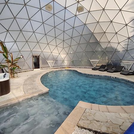 Mas Du Versadou, Dans Un Espace Naturel Protege, Piscine Couverte Chauffee Toute L'Annee, Spa Et Salle De Jeux Saint-Gilles  Exterior photo